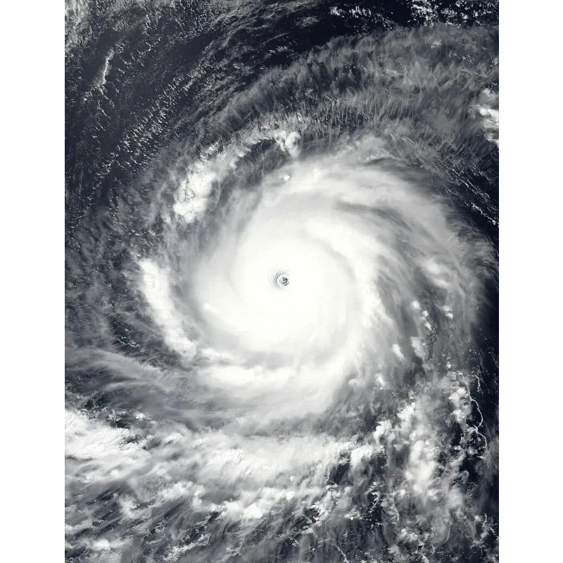 Tiy 1 шт. для Suzuki 400/SkyWave 400 AN400/S 2007-2022 приводной ремень сцепления V-ремень-замена 27601-05H00 27601-05H10 Tiy 1 шт. для Suzuki 400/SkyWave 400 AN400/S 2007-2022 приводной ремень сцепления V-ремень-замена 27601-05H00 27601-05H10