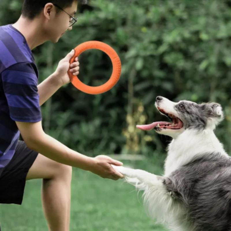 Flying Disc Dog Training Toy - Cincin Latihan Anjing EVA Tahan Air,