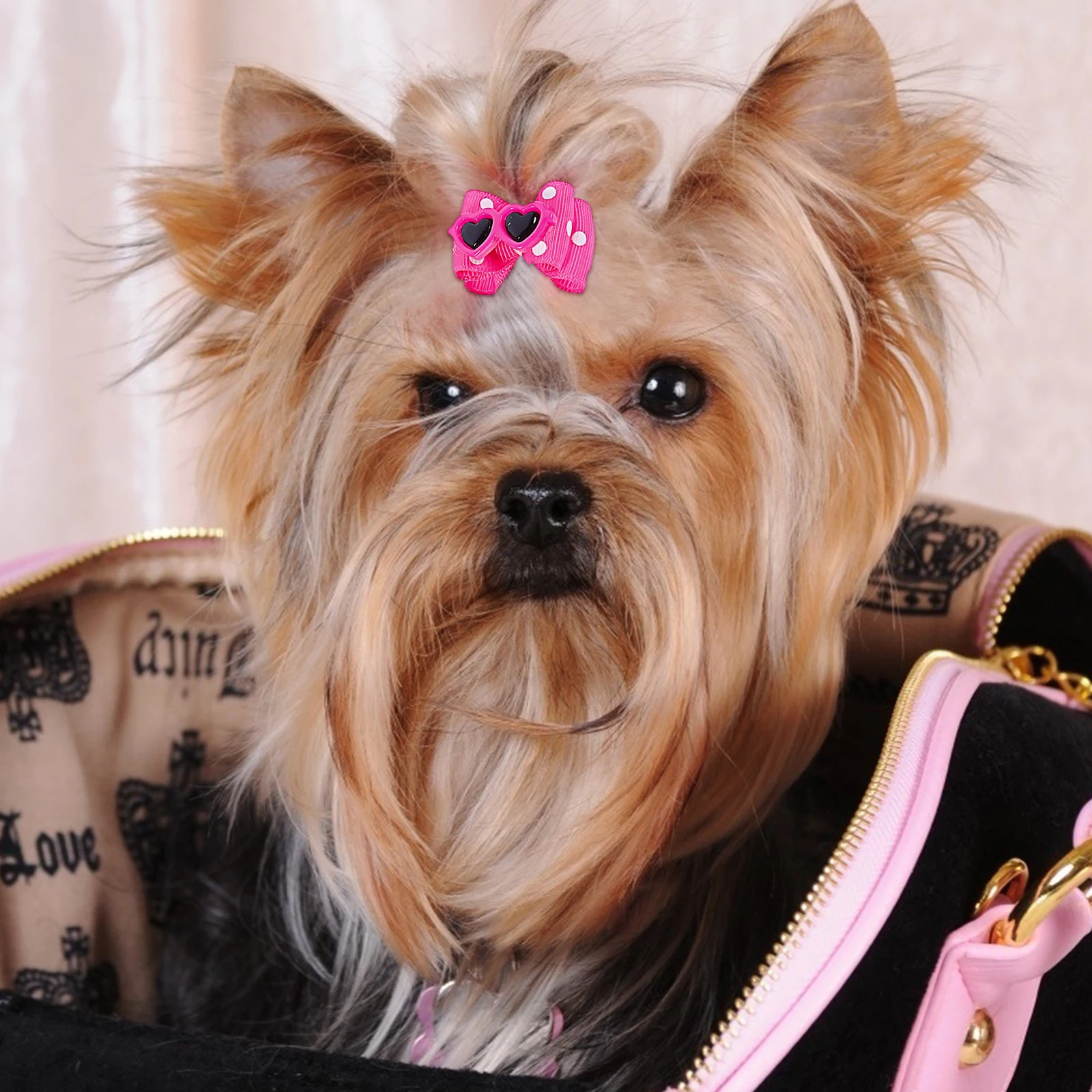 

10 Pcs Pet Hairpin Cat Accessory Decorative Dog Hairpins Bowknot Clips Ornament for Pets Headdress Decoration Glasses