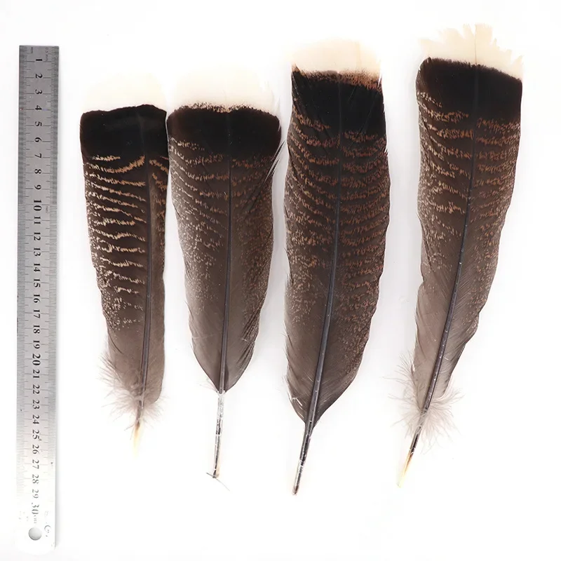 Wholesale 100pcs/lot Natural Turkey Feathers 10-12 Inch / 25-30CM Party Jewelry Craft Diy Wedding Plumas De Faisan