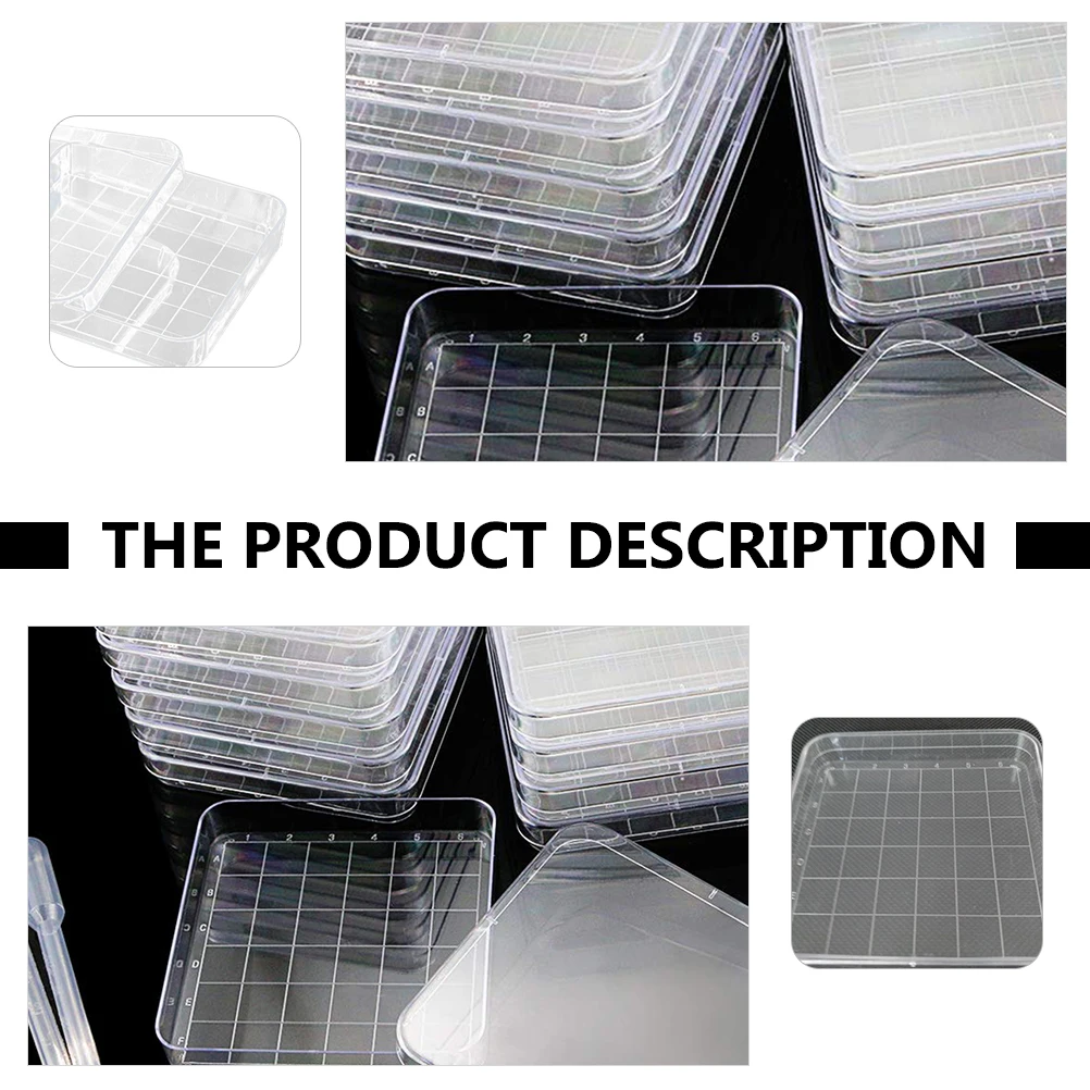 

Clear Dishes Petri Laboratory High Quality Kids Transparent Plastic