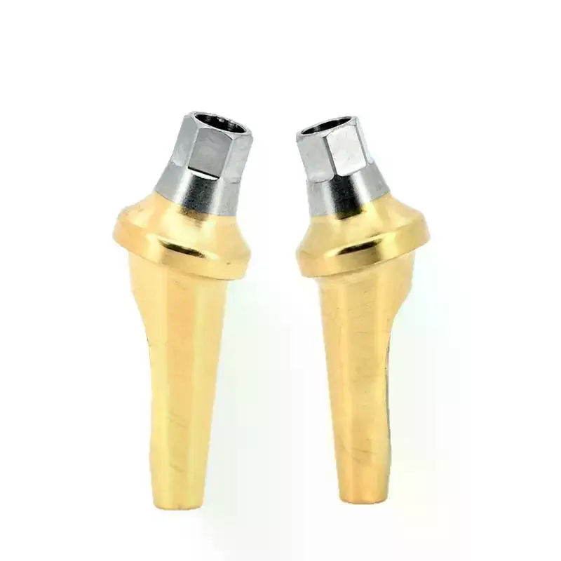 Premium Titanium Dental Angled Abutment 17 Degree Fits Osstem System For Dental Implant Use Fit