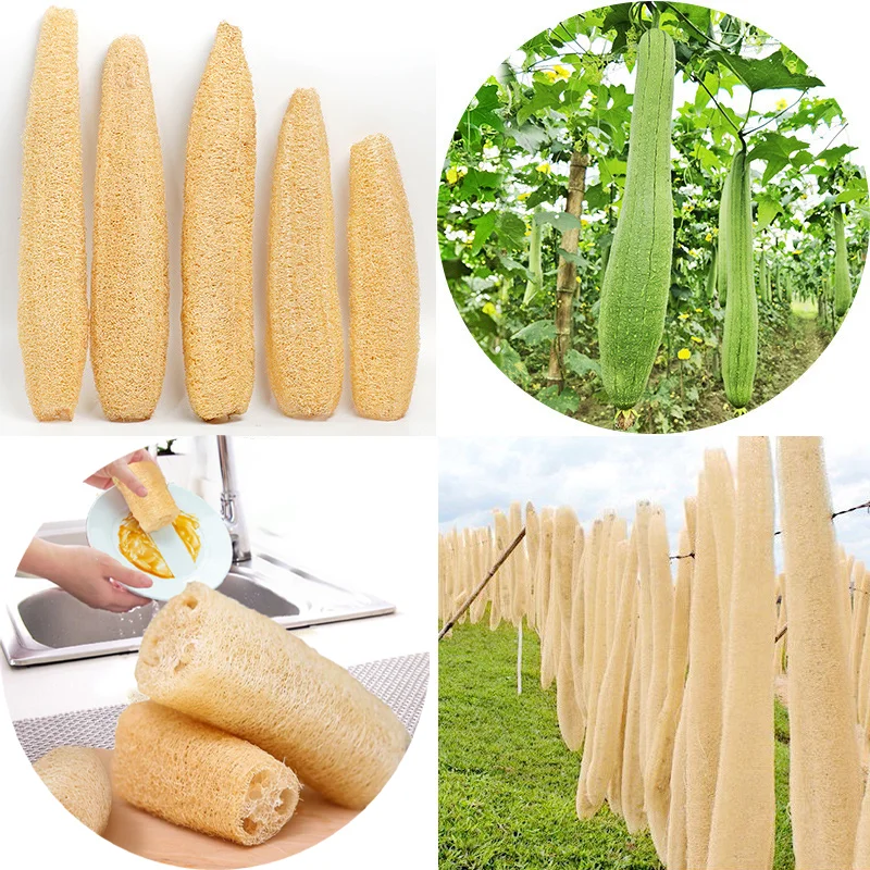 اللوف الطبيعي اللوف الإسفنج القابل للتحلل تنظيف قوي طويل غير عصا طبق قطعة أثرية فرشاة طبق المناشف الإسفنج ومنصات تجوب #1