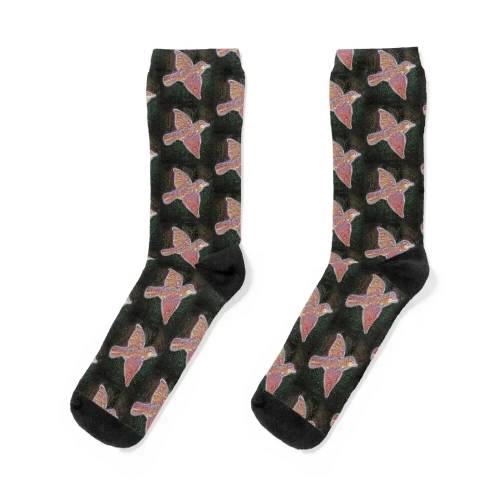 love bird widespread Socks gifts men cotton high quality summer Novelties Boy Socks Women's