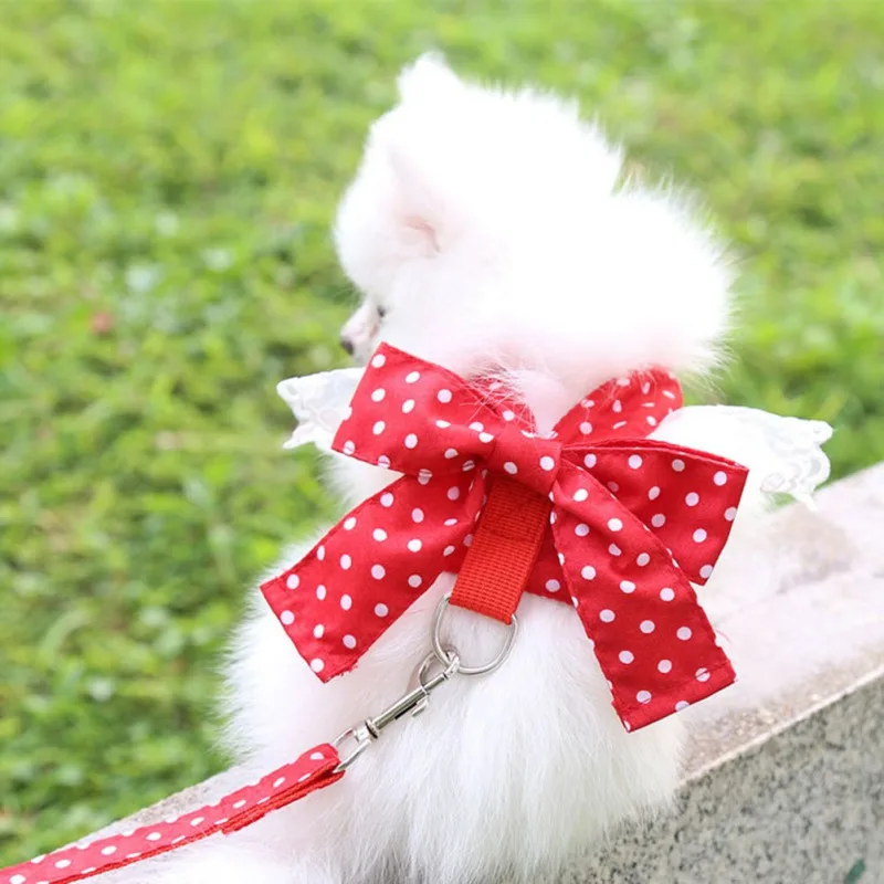 Floral Dot Bowknot Pet Dog Leashes Lace Mesh Pet Dog Harness Wing Adjustable Harness For Small Sweet Dogs Cats Pet Accessories