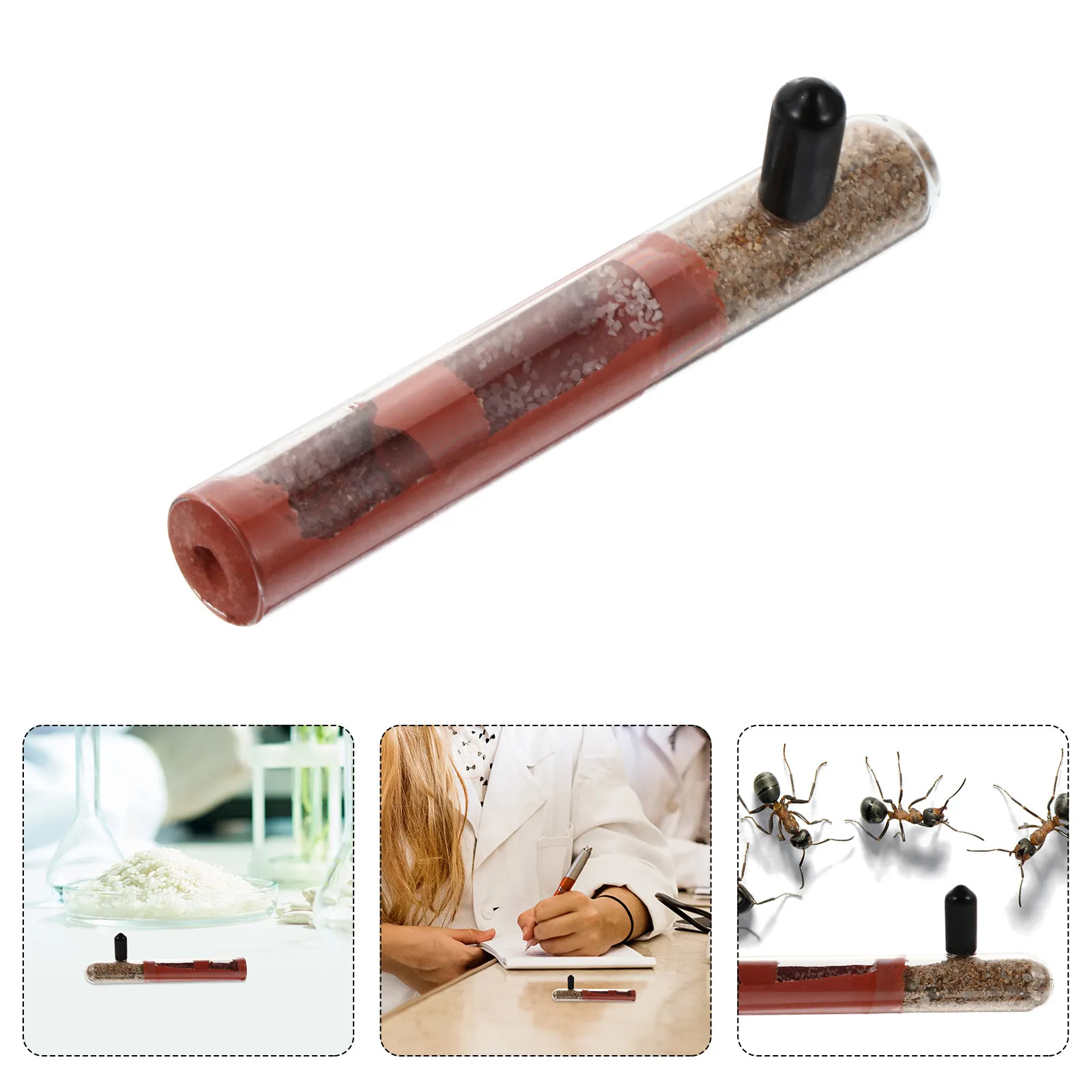 Glass Tube Nest Pet…