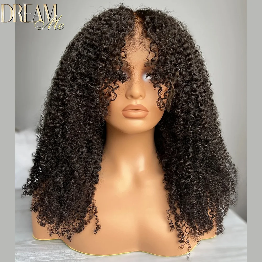 Kinky Curly 13x4 HD Lace Frontal Human Hair Wigs Invisible HD Lace 5x5 6x6 Closure Wig Curly Human Hair Lace Frontal Wig 250%