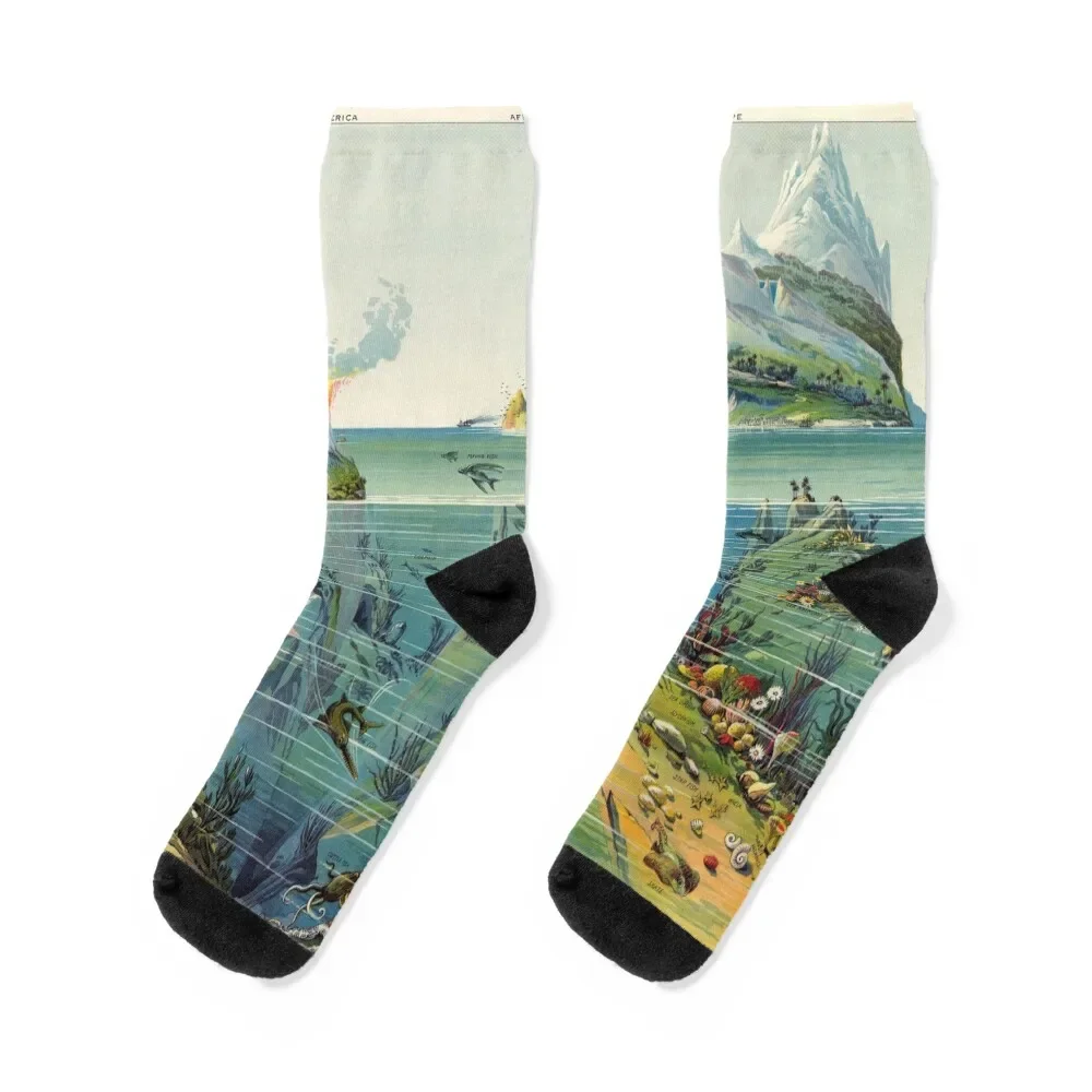 

1893 Illustration Nature in Descending Regions Socks sports stockings Children's japanese fashion Rugby Socks Men's Women's