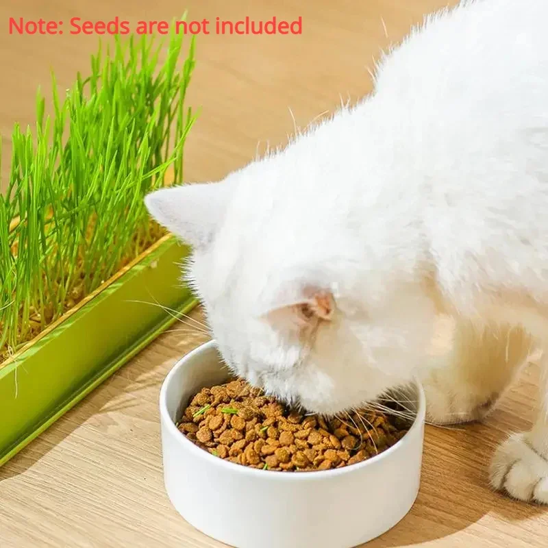 Nursery Tray Seed Germination Tray Cat Grass Growing Set Layered Feline Soilless Convenient Cat Grass Set 4 Styles Pet Products