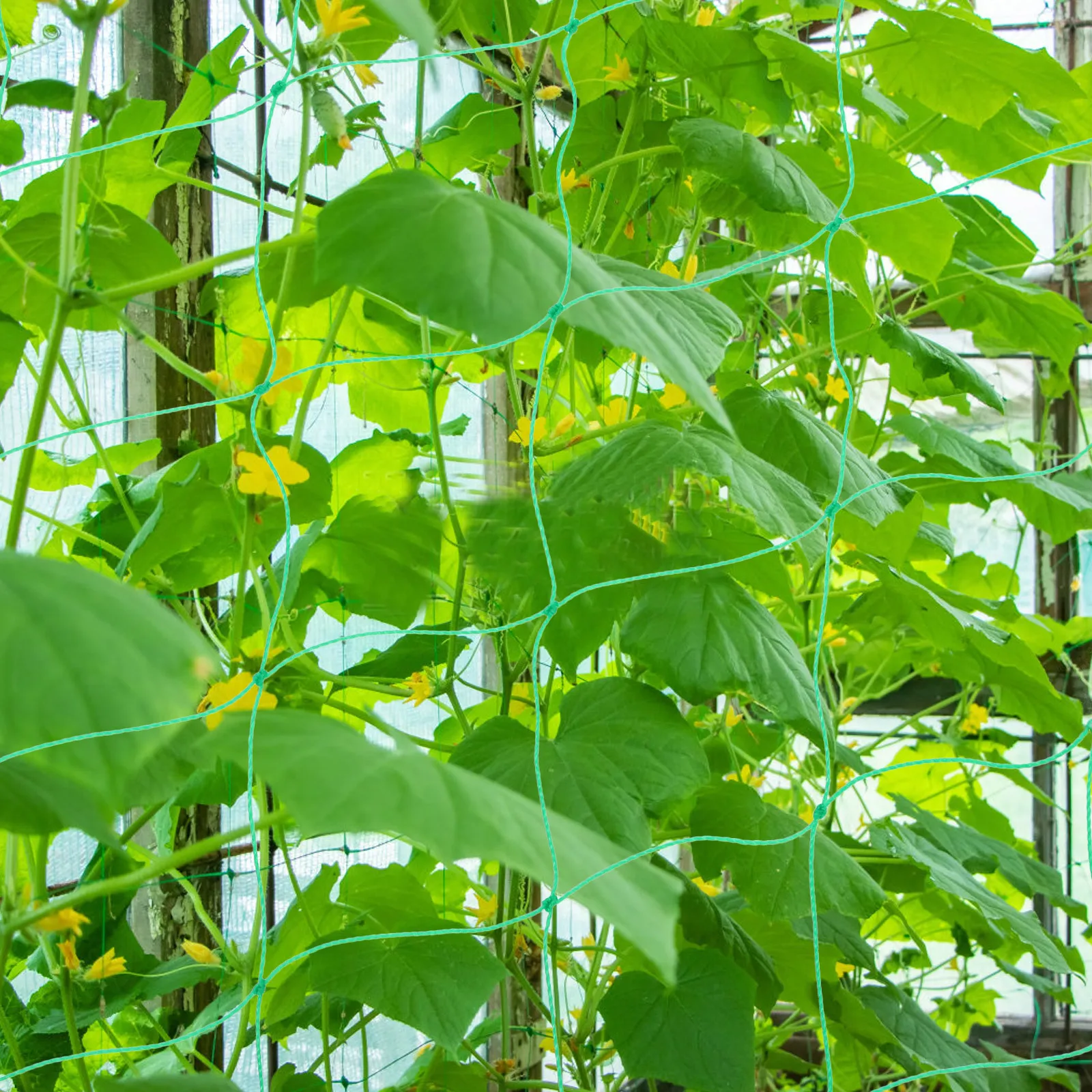 

1Set Garden Climbing Net High Strength Trellis Netting for Vegetable Vine Plants Support Outdoor Cucumber Garden Net