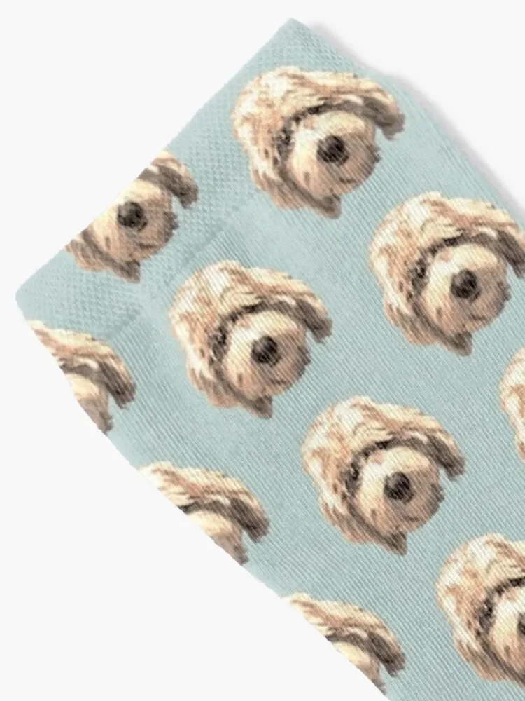 Lucky Labradoodle Face ~ Golden Socks Children's cycling Socks For Men Women's