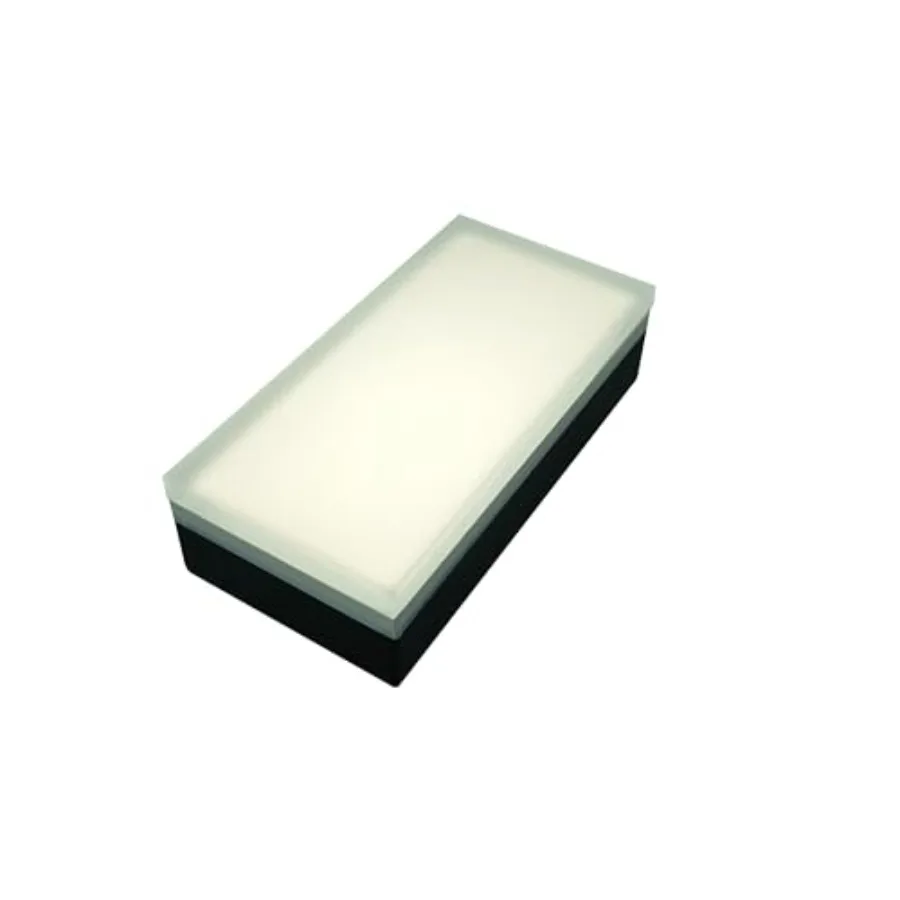 

Paver Light 4x8 Inch 3.93x7.87 5000K Daylight Glare-Free Brick Lighting for Driveways Walkways Pool Decks and Patios 12V Hardwi