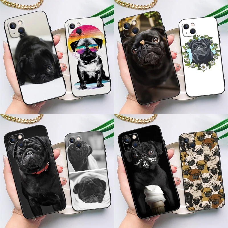 Cute Black Pug Dog … - image