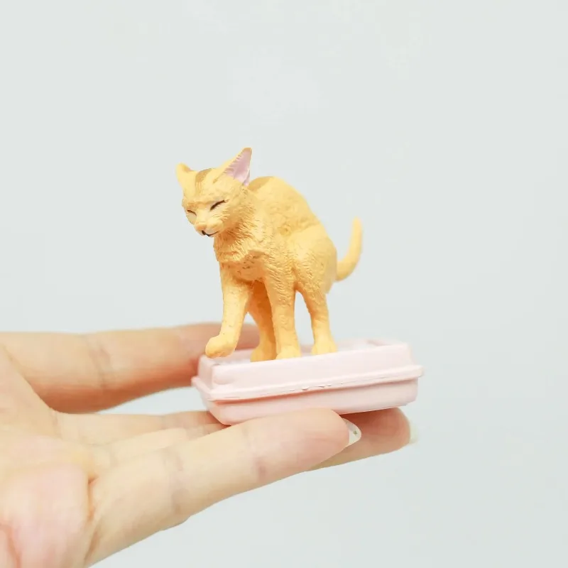 Simulação animal gato cena kawaii anime estatueta estática em miniatura caixa cega brinquedos coleção ornamento de mesa crianças presentes