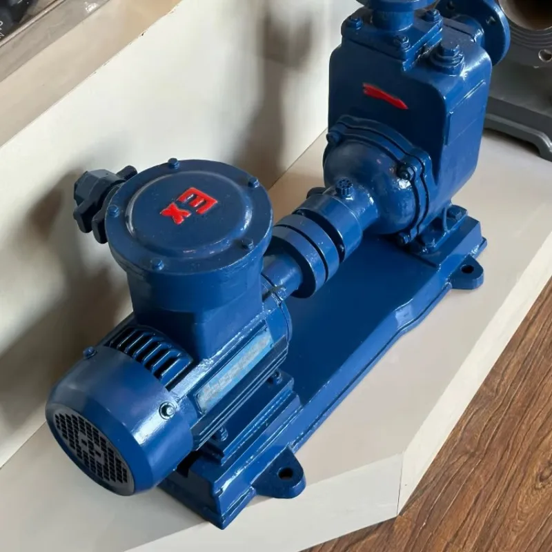 

Horizontal Centrifugal Pump