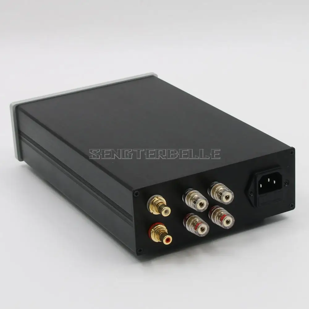 ICEpower ICE125ASX2 Class D Audio Power Amplifier Hi-End Audiophile-Grade Two-Channel Amp