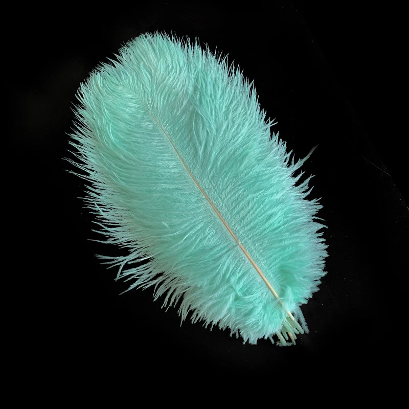 21 لون من الجلد الطبيعي ريش النعام الوردي للحرف اليدوية لتزيين حفلات الزفاف قطع مركزية لتزيين طاولات النعام