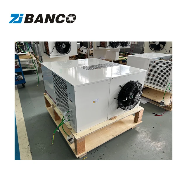 1 PS Kondensationseinheit Kühlung, Mini-Kondensationseinheit Preis