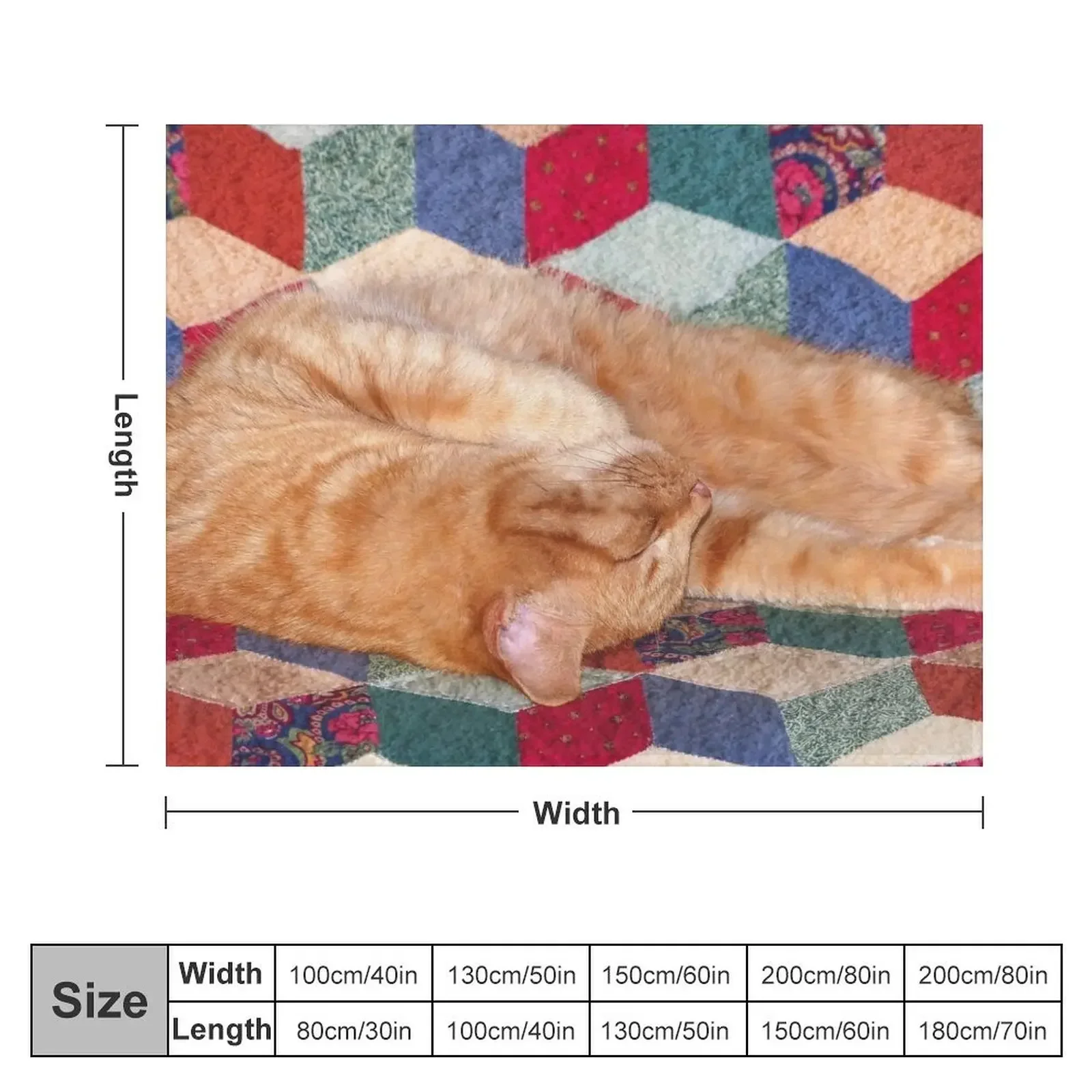 Ginger Cat Napping Throw Blanket Hairy Multi-Purpose Blankets