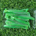 GD33 10PCS 02