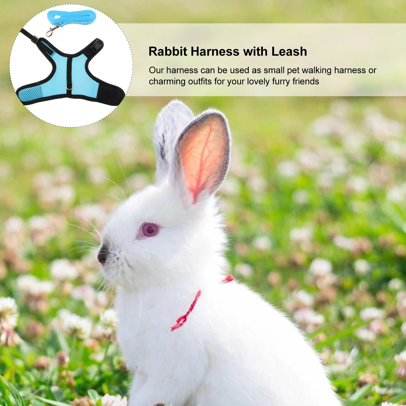 

Premium Pet Leash Set For Rabbit Hamster Guinea Pig Small Animals Mesh Vest For Wedding Outdoor Walking Exercise Pet Supplies