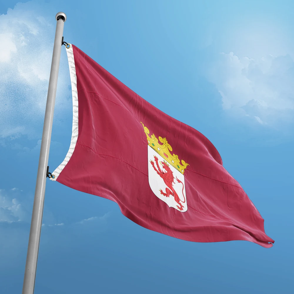 Flag of Leon 3 x 5 FT 90 x 150 cm Spain Provincial Flags Household Decoration Indoor Outdoor Polyester Hanging Banner