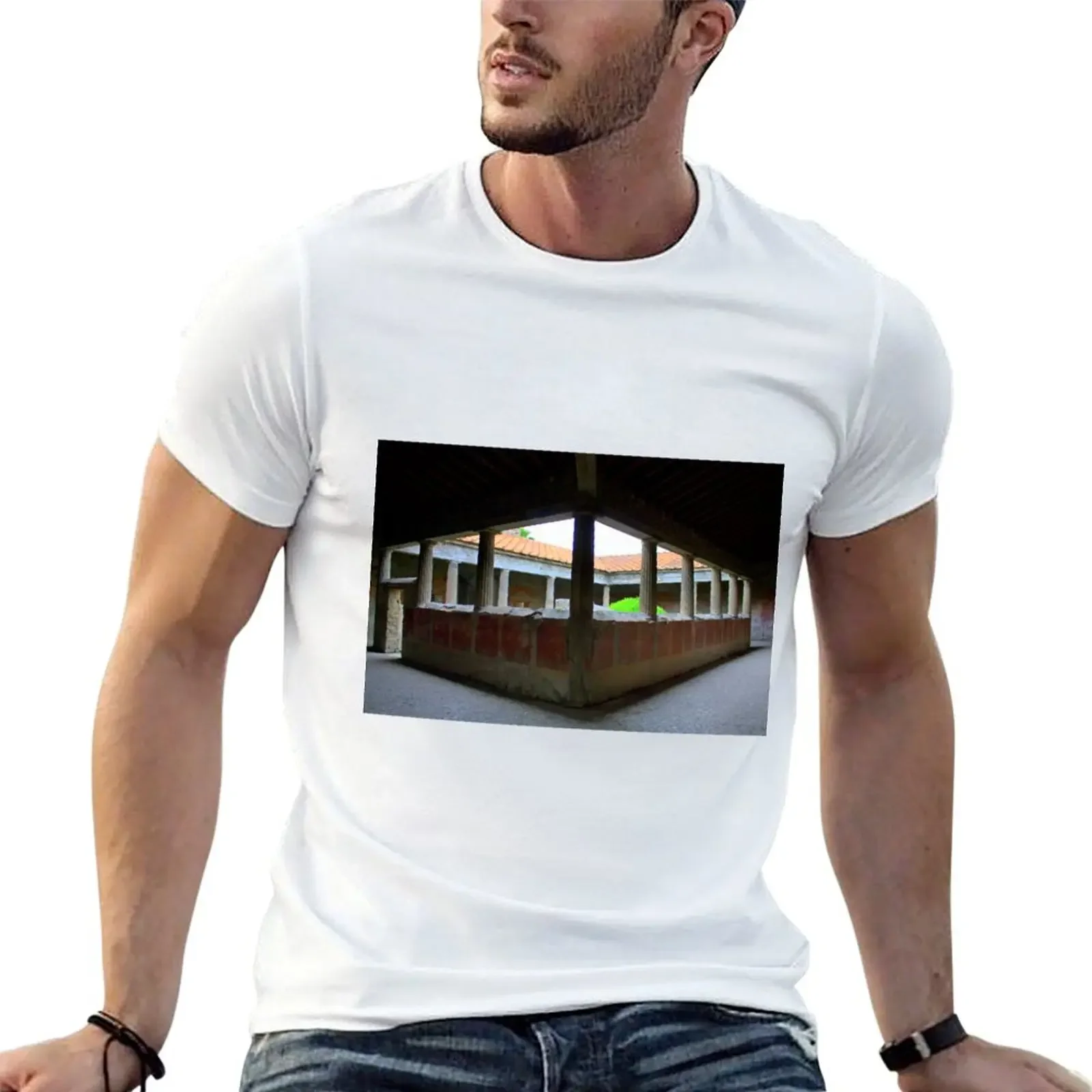 

Villa of the Mysteries T-Shirt customizeds plus sizes men clothings