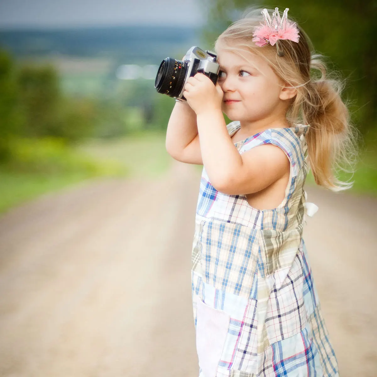 

2Pcs Cute Diamond 3D Crown Hairpins for Premium Mesh Bow Hair Clips Hair Clip for Casual Wear Pink Bow Hairpins