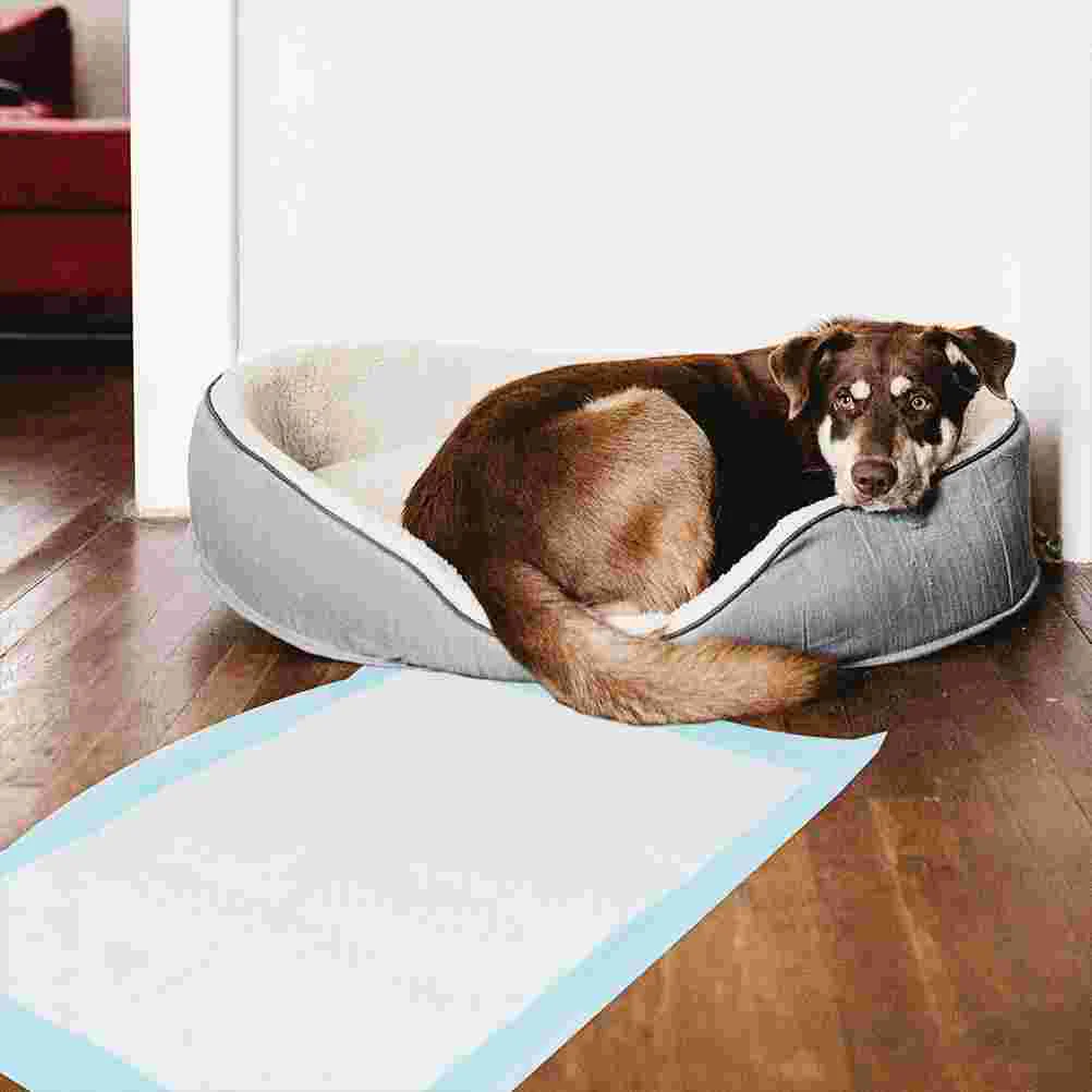 

Pet Pee Mat Training Pad Portable Diapers for Toilet Supplies Sky-blue Non-woven Fabric