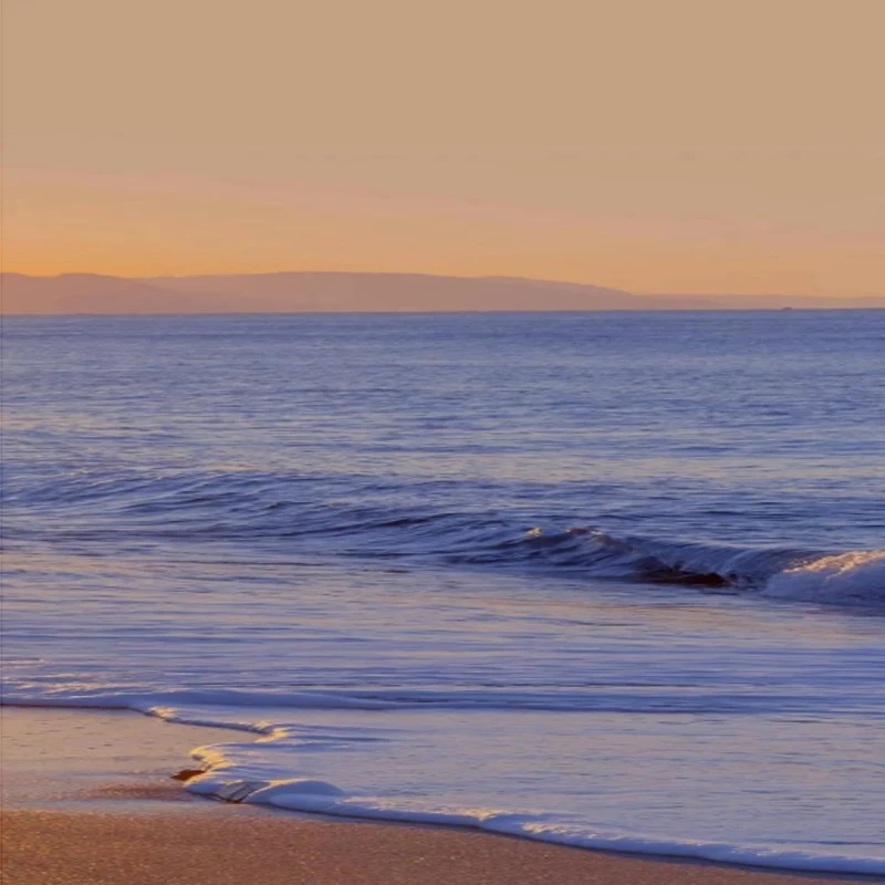 Radiolink R6DSM 2.4… - image