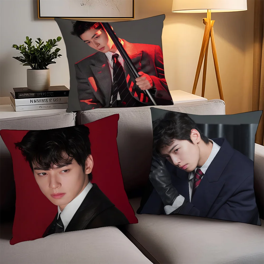 

korean actor C-Cha E-Eun-woo Pillow Case Office Cushions Suitable For Sofa Car Bedroom Decorative Cushion Cover