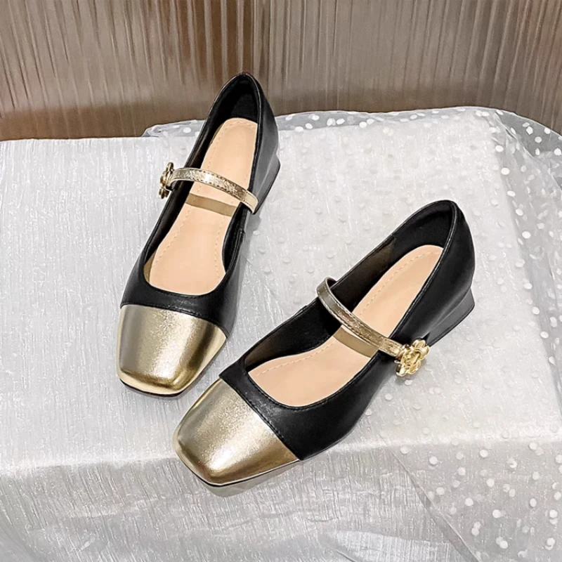 2025 Autumn New Light Mouth Color blocked Mary Jane Small Leather Shoes French Square Head Coarse Heel Casual Women's Shoes