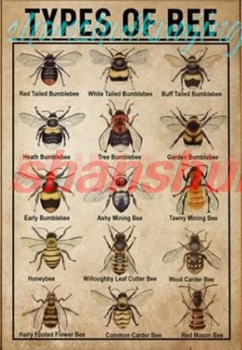 Connaissance des abeilles, Panneau en métal sur le type des abeilles, Décoration murale en métal, Panneau FGDD