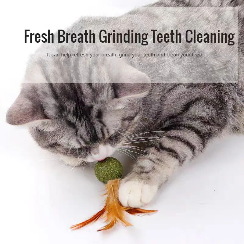 Pet Catnip Toys Cat Mint Ball Edible Catnip Ball Mouse Safety Healthy Cat Mint Cats Home Chasing Game Toy Product Clean Teeth view 4