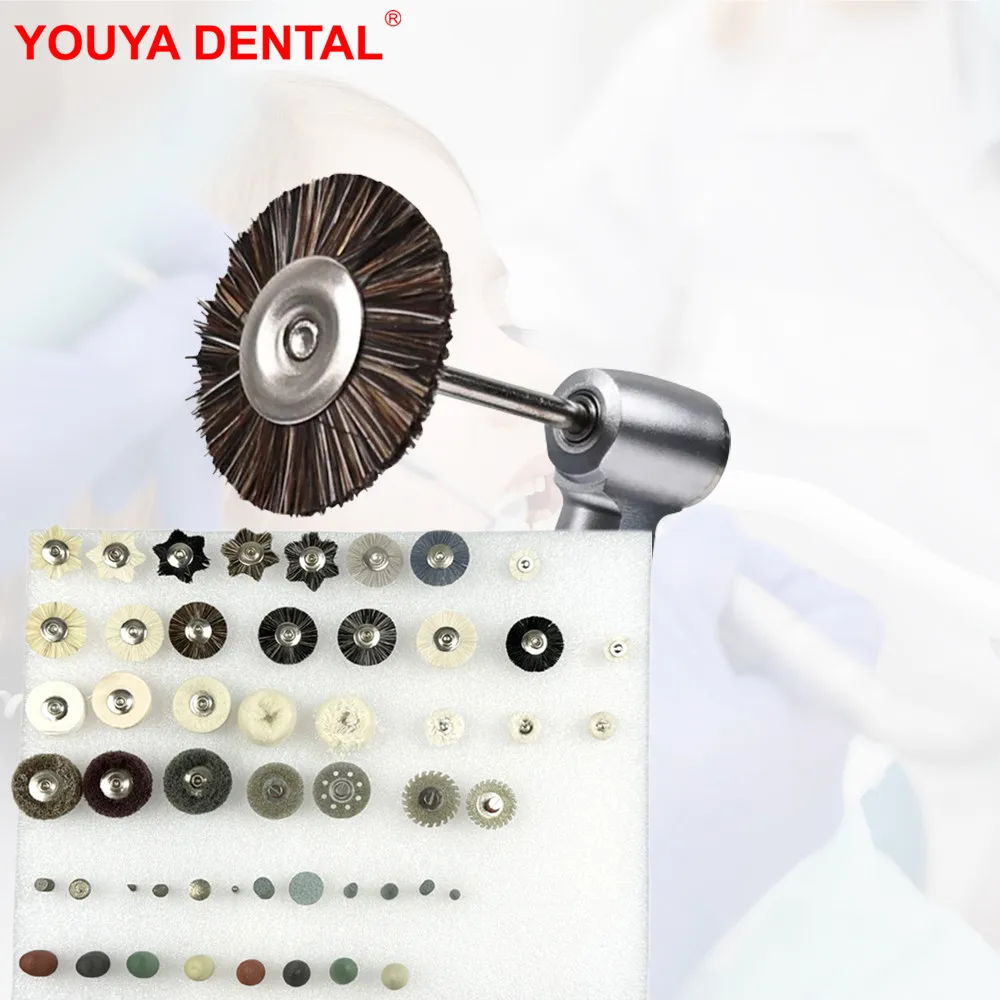 

51pcs/set Dental Polishing Kit Lab HP Shank Polisher Set for Grinding or Polish Ceramic/Porcelain Burs Brush Clinic Dentist Tool