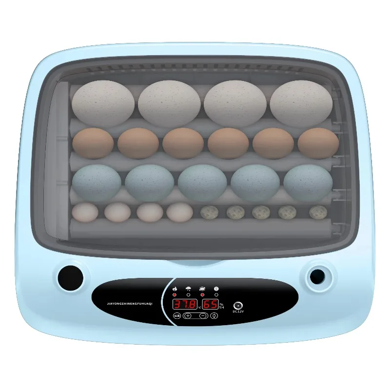 Fully automatic dual power supply 24 incubator chick box 220V/110V