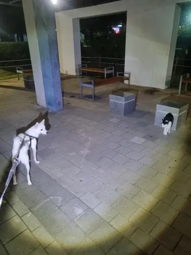 리뷰 사진