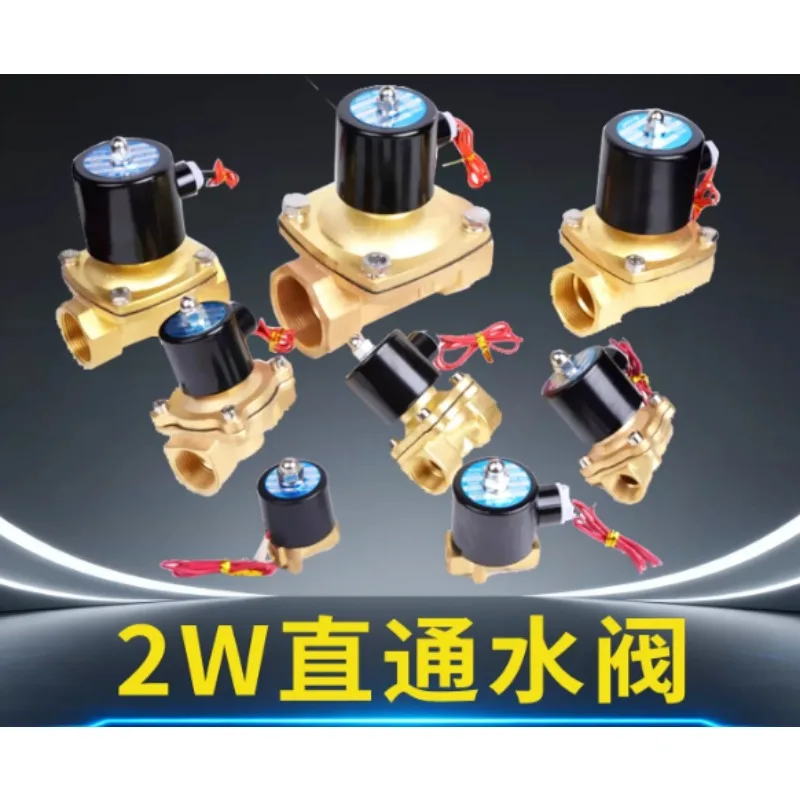 2W Water Valve 025/040/160/200/250/400/500 Straight-through Normally Closed Pneumatic Solenoid Valve 24V 220V