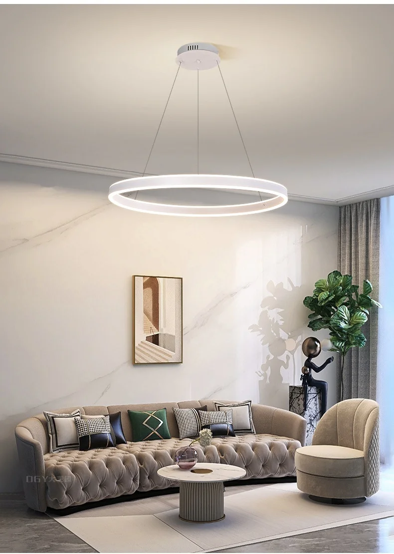 Minimalism Circle LED Ceiling Chandelier
