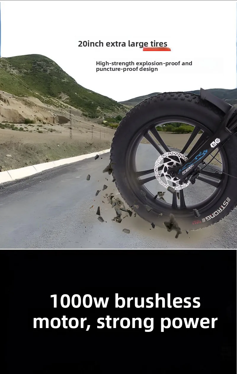 WB  20-Inch off-road snow beach electric power bicycle long-distance lithium battery rear wheel electric bicycle wholesale suppl