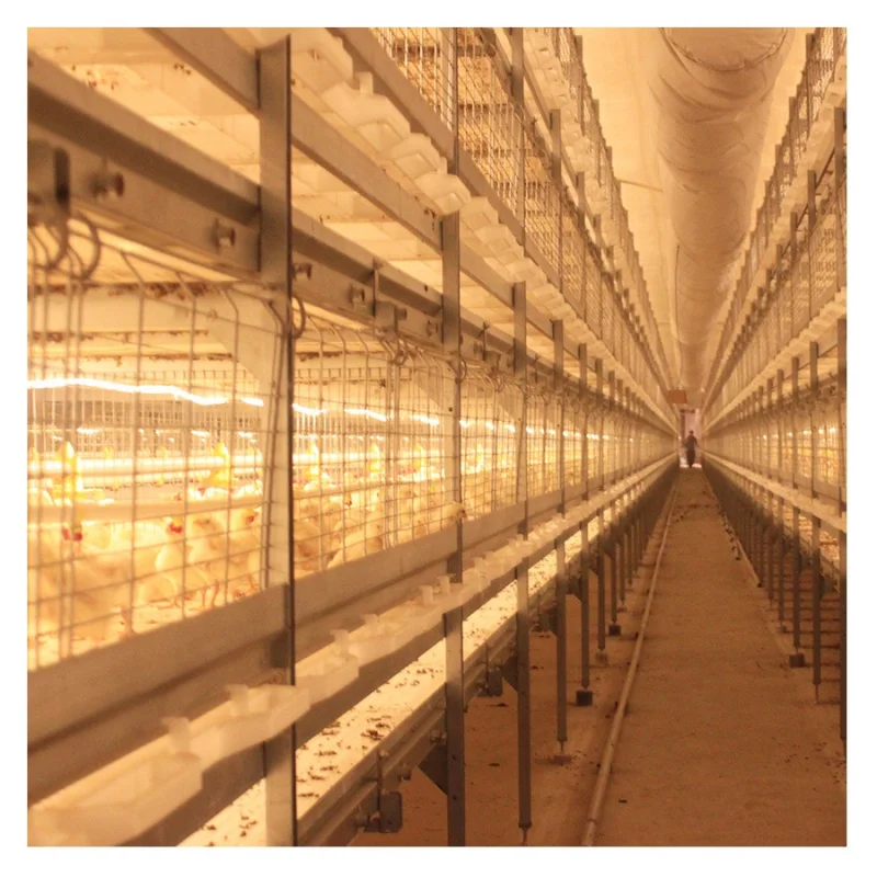 

Новый дизайн оборудования для птицы, дом для разведения, проволочная клетка для разведения курицы и птиц