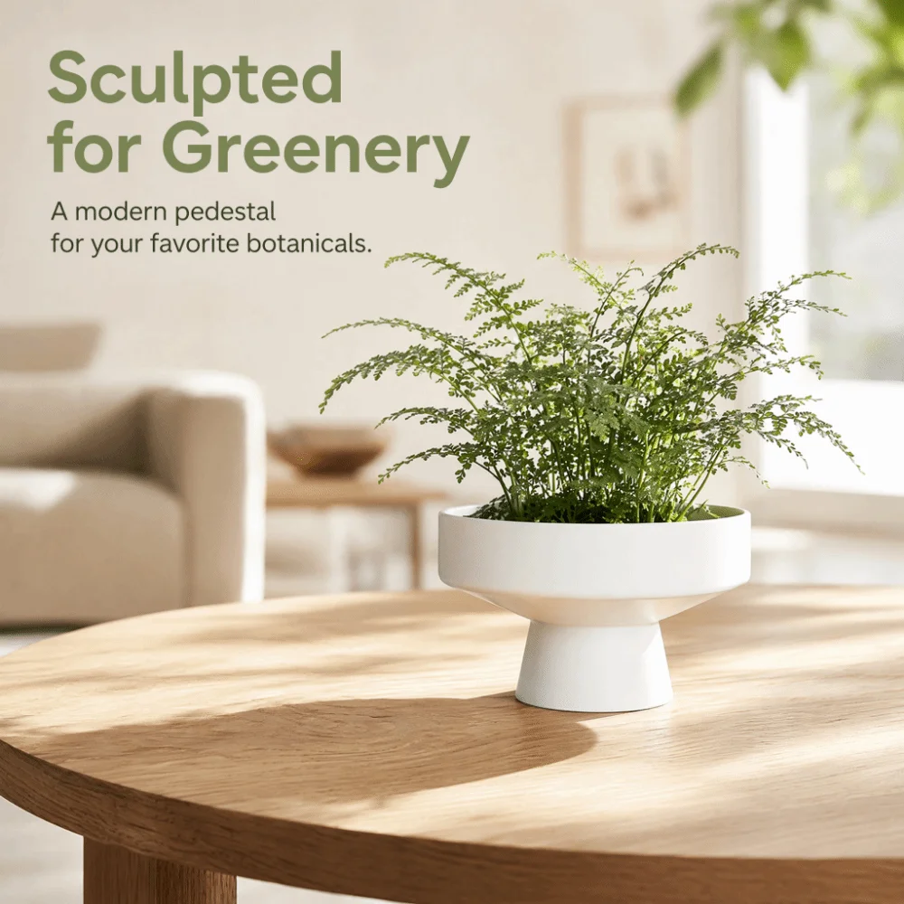 Elevated Design Wide Shallow Base Plant Container INS Plastic Desk Decoration Pot Creative Round Succulent Pot Household Use
