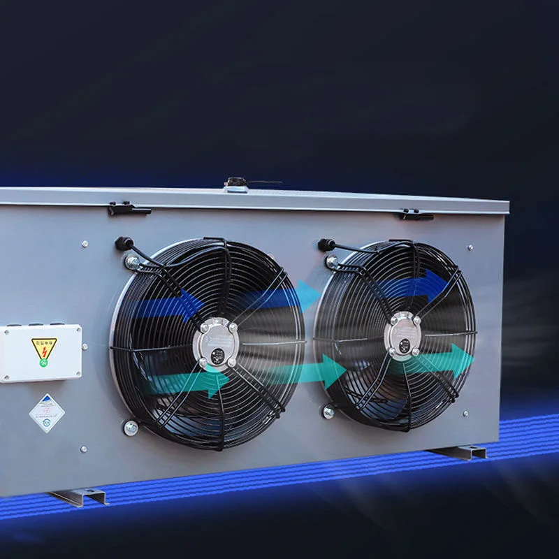 Frutta Verdura Carne Pesce Congelatore Camera Fredda