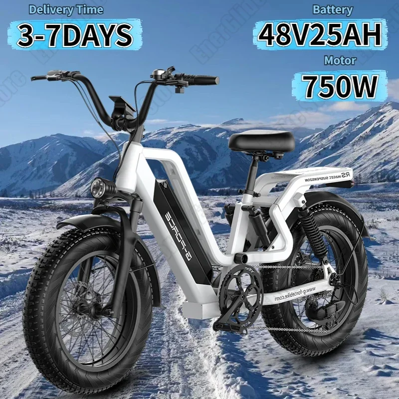 G-FORCE RS ST Electric Bike 750W Motor 48V25AH Lithium Battery City Trip Electric Bicycle 20*4.0 inch Fat Tire Mountain E-Bike