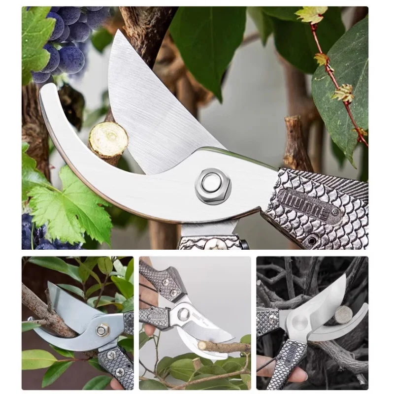 Horticultural scissors for pruning tree branches, specialized garden pruning tools for pruning fruit trees and flowers