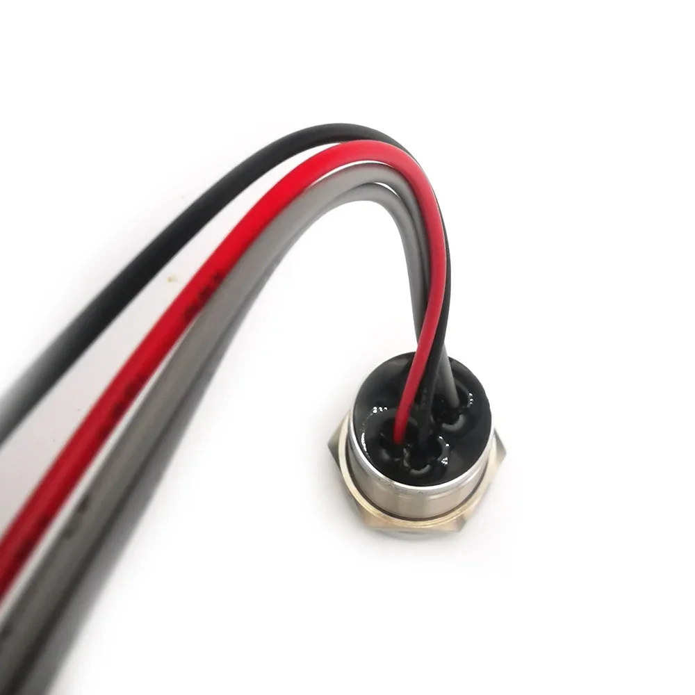 19mm 22mm 25mm IP68 lock type Red and green led Piezo Switch 5V 24V LED Light Stainless Steel Push Button