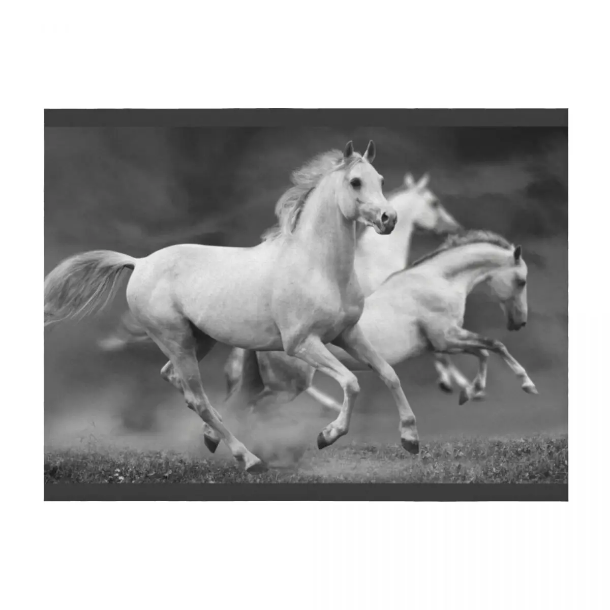 

White Horse In Grey Throw Blanket Beautifuls Picnic Baby funny gift Blankets