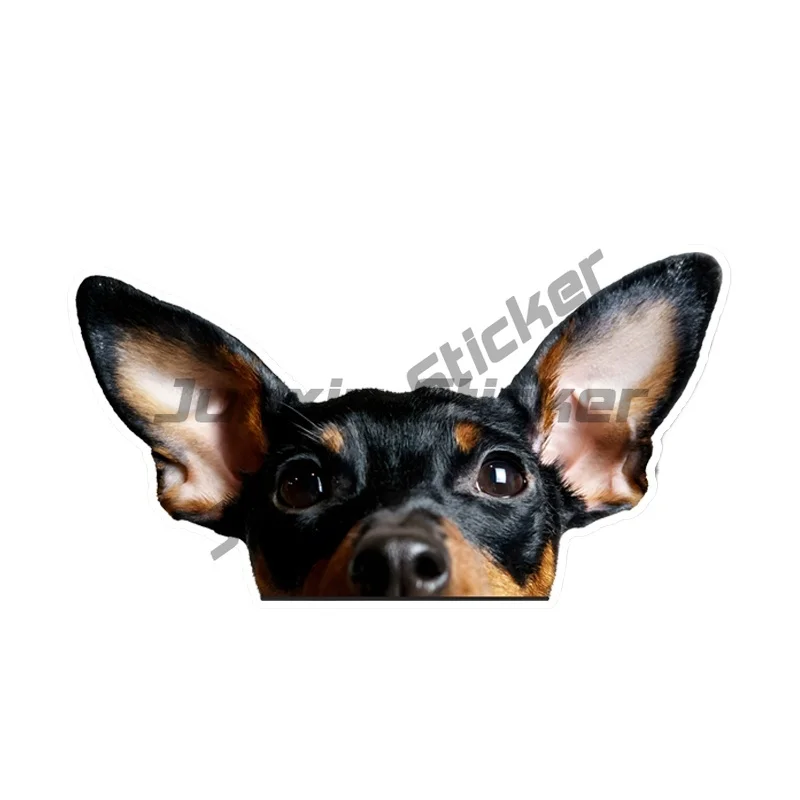 

Miniature Pinscher Car Stickers Funny Creative Waterproof Vinyl Decal Motorcycle Decorative Accessories