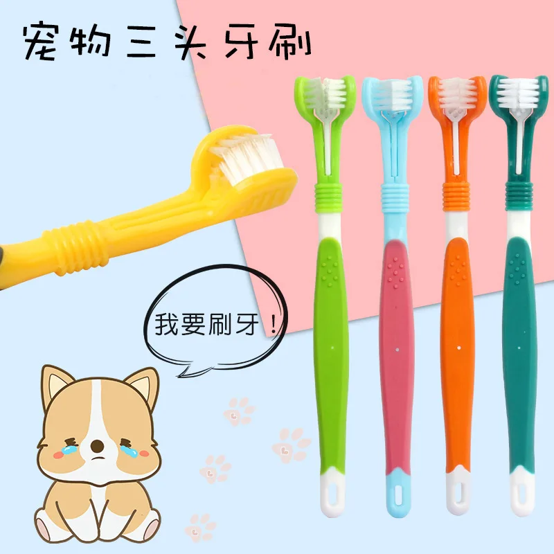 Pet toothbrush dog oral cleaning care tools cat cleaning teeth brushing three-head toothbrush pet supplies wholesale Grooming