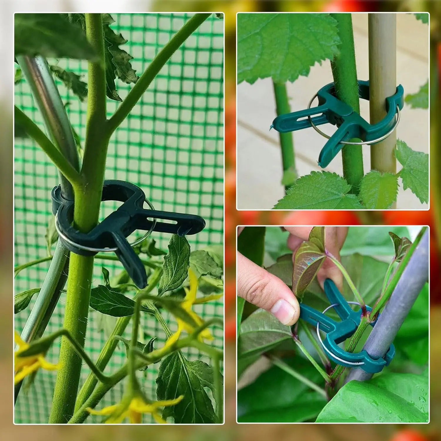 20-60 قطعة نباتات الحديقة مقاطع ثابتة قابل للتعديل نبات الجذعية كليب للخضروات الطماطم تسلق النباتات فرع الكرمة دعم قوس #4